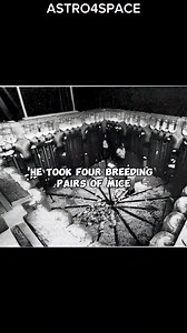 One of the scariest experiments of all time. Share your thoughts in the comments. Drop a like and follow us for more awesome content. Follow @astro4space Follow @astro4space . . . . . . . . . . . . . . . . . . Tags▪️▪️▪️▪️▪️▪️▪️▪️▪️▪️▪️▪️▪️▪️▪️▪️▪️▪️▪️▪️▪️▪️▪️▪️▪️▪️▪️▪️▪️▪️▪️▪️▪️▪️▪️▪️▪️▪️ #scary #universe #darkness #explore #galaxies #earth #life #spacestation #spaceexploration #space #nasa #milkyway #moon #deepspace #astronomy #planets #star #sun #blackhole #nebula #cosmic #cosmosart #cosmoslo