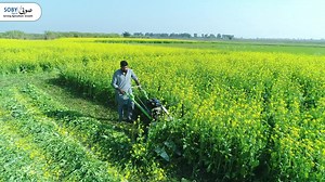 Fodder Harvester | Soby Agro Machinery