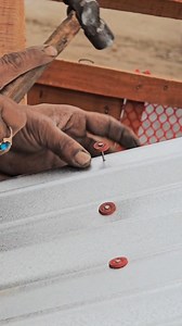 Two-story chicken house shed tin installation #chicken #chickenlover #chickencoop #woodwork #pet | Abid Agro