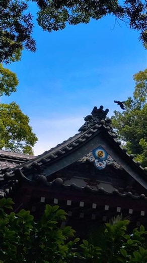 #諸口神社#江原さんのポスターを見てオーラの泉の曲を探しました。#沼津#