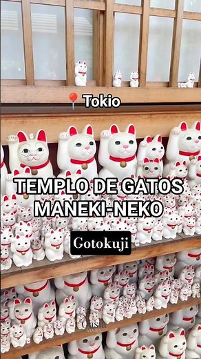 Templo de gatos Gotokuji en Tokio 😸 | ¿Cómo es? ¿Dónde está? #gatos #japon #tokyo