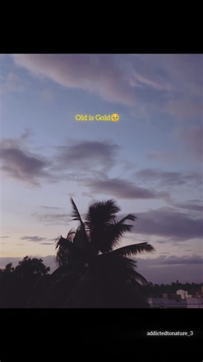 🌿Addicted To Nature🌿 | Day(10/100) of voice from your ❤️ . . . . . . . . trending #mobilephotography #lovequotes #sunsetphotography #lovequotes #virals... | Instagram