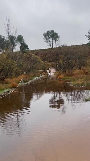 Royal Marines Commando endurance course. Peters pool 🗡️ #military #navy #specialforces #royalmarinescommando #royalmarines #royalnavy #army #usarmy #usnavy #usmc #usmarines #motivation #fitness | Marines Training