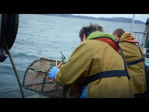 The Limit (FILM TRAILER)