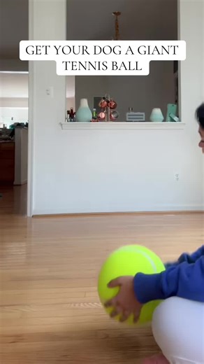 Fetchking XL: The Ultimate Dog Toy for Bigger Fetch