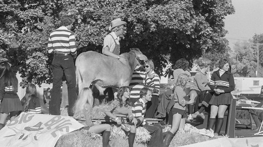 Utah State University archivists uncover untamed tales of ‘GUS the bull’, former live mascot