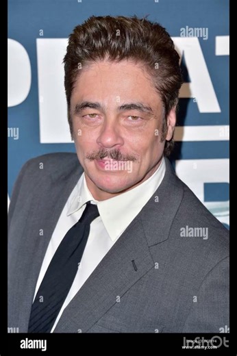 Evolution of Benicio Del Toro part 4