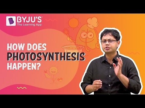 Photosynthesis - How Does Photosynthesis Happen? | Learn with BYJU'S