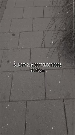 Michael Rafferty (@michaelrafferty)’s videos with original sound - Michael Rafferty