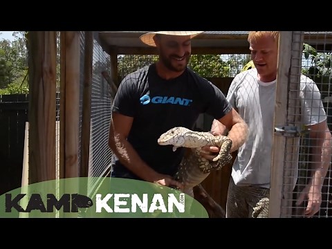 Australian Monitor Lizards!: Kamp Kenan Bonus