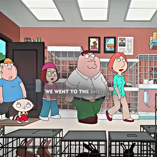 Tell the story of “Family Guy”from dumplings’s perspective | Daily Griffins