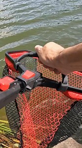 14K views · 112 reactions | The new Speedlow Compact landing net is designed for predator anglers who demand practicality and dependability  Whether you're landing fish from the bank or boat, the floating design, fish-friendly mesh, and ergonomic handle ensure every catch is effortless and secure. Compact, portable, and ready for action, this net has all the features you need to land your next memorable catch. | Fox Rage | Facebook