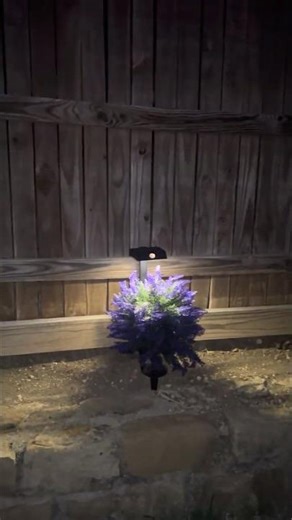 Motion Solar Lights XMCOSY | 300LM Bright + 3 Modes!