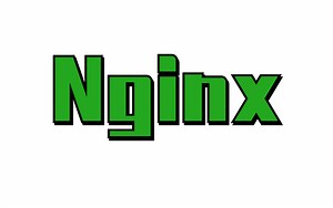 从零开始的Nginx详解 【Nginx-配置文件及环境搭建】