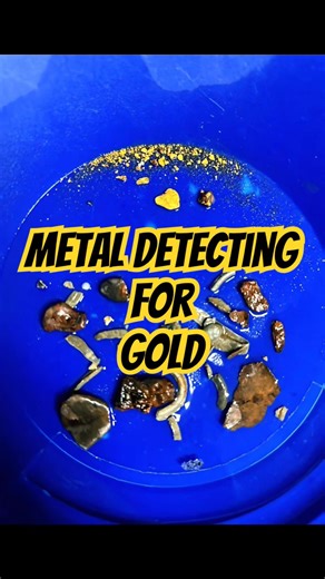 Metal detecting for GOLD nuggets🔥 #metaldetecting #treasure #shorts #goldprospecting #nuggets #gold