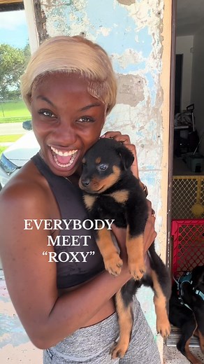 Introducing our 2nd German Rottweiler Puppy