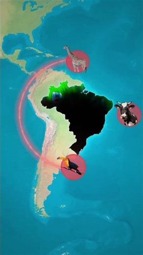 The Shocking Truth about the Amazon