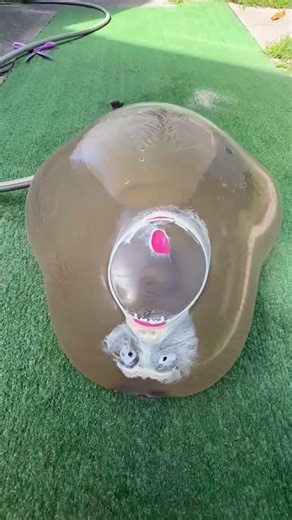 Giant Rubber Gorilla vs. High Pressure Water 🦍💦