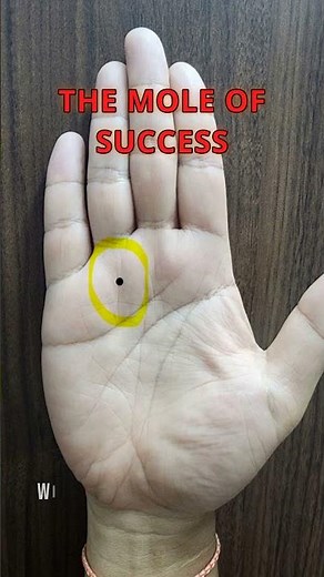 🔍 Black Mole on the Mount of Apollo: The Mystery of Success!