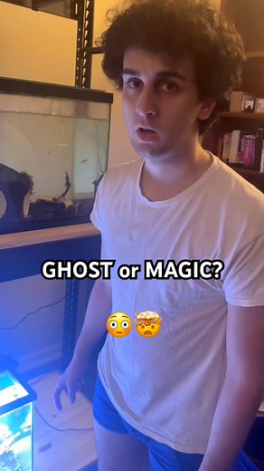 Magic Fish Tank Light_ can anyone explain_🤔( #hashtagfbreelsvideo | Serbaa HobiKuu