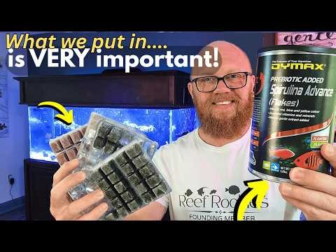 Your Reef Tank Nutrients Start With the Food!!!