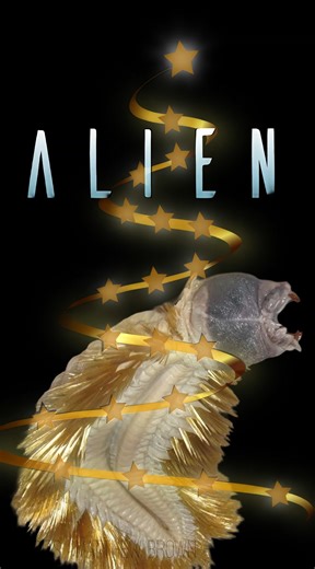 Eulagisca gigantea, le ver guirlande-de-Noël🎄👽 ALIEN #14 ALIEN : une exploration des mondes extraterrestres .. sur Terre ! 👽 Ce 14e épisode est consacré à Eulagisca gigantea, un ver de l'océan Arctique qui ressemble à une guirlande de Noël cauchemardesque ! La série complète ici : https://bit.ly/3U5i11K Retrouvez-nous sur : https://www.facebook.com/bigbangscicom/ https://twitter.com/BigBangSciCom https://www.instagram.com/big_bang_science/ Vous pouvez nous soutenir sur Tipeee 💰 : https://fr.