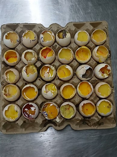Understanding the Egg Candling Process in Hatcheries