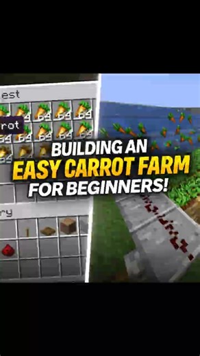 Easy Carrot Farm in Minecraft 🌱 | Perfect for Beginners