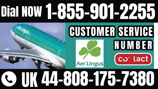 Official Aer Lingus® Customer Service: How to Contact Aer Lingus® | 24/7 Live Help & Support