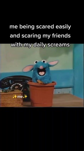 Tutter Mouse Meme: Easily Scared Screamer