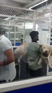 visiting doctor for routine check-ups