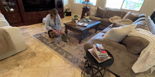 Policy-holders sue over discontinued pet insurance policy