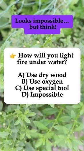 🔥 How to Light Fire Under Water? #shorts #iqvistax #brainteaser #riddle #math