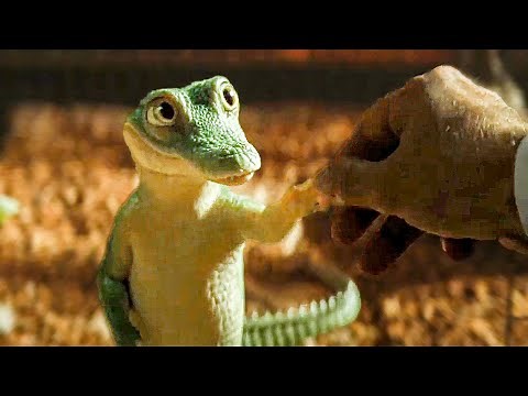 Shaking Hands With A Baby Crocodile Scene - Lyle, Lyle Crocodile (2022) Movie Clip