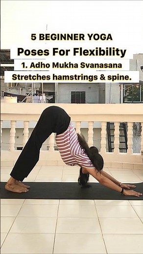 5 Yoga Poses for Beginners | Full Body Flexibility || #flexibility #beginneryoga #healthylifestyle