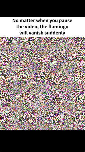 No matter when you pause the video, the flamingo will vanish suddenly | Crafty School