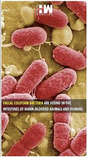 #Shorts | MahaKumbh Water is not Suitable for bathing (CPCB) report | Faecal Coliform Bacteria