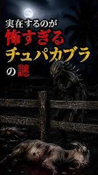 実在するのが怖すぎるチュパカブラの謎 #チュパカブラ #UMA #未確認生物 #都市伝説 #怪物 #ミステリー #雑学