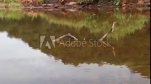 Gentle water ripples in a clean creek showing the concept of healing in nature
