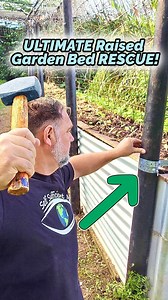 106K views · 1.3K reactions | Ultimate Raised Garden Bed Rescue Fixing Common Problems | Self Sufficient Me | Facebook