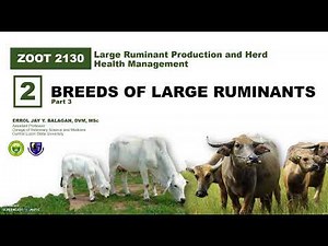 Breeds of Dairy Cattle