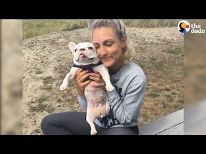 Cute Little Rescue Dog Is So Spoiled - BETHANEE UPDATE | The Dodo