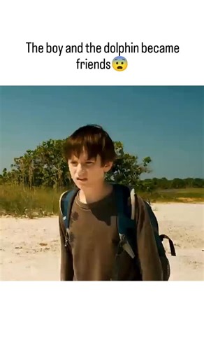 solo player on Instagram: "🐬 Dolphin Tale (2011) Genre: Family, Drama Movie Length: 1 hour 53 minutes IMDb Rating: 6.8/10 Cast: Nathan Gamble, Harry Connick Jr., Ashley Judd, Morgan Freeman, and Cozi Zuehlsdorff. Explanation Based on a true story, the film follows a lonely young boy named Sawyer who discovers a stranded dolphin on the beach after it gets caught in a crab trap. The dolphin, named Winter, is rescued and taken to the Clearwater Marine Hospital, but her injuries are so severe that 