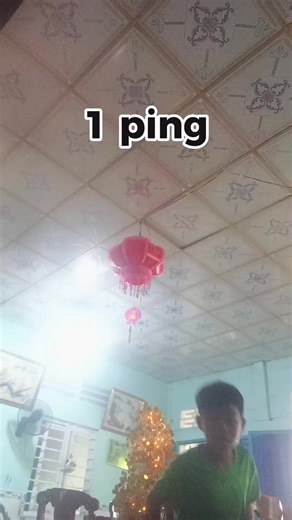 Understanding Ping: Exploring Meme Trends