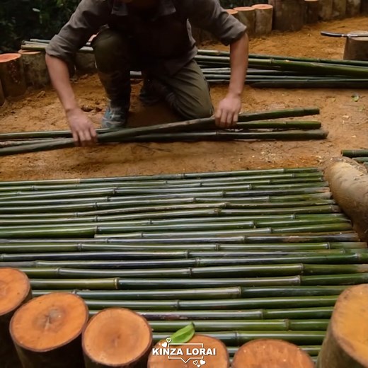 12K views · 256 reactions | "Deep in the Forest | Built a Cozy Tree Shelter ️" #survival #bushcraft #outdoorliving | Kinza lorai | Facebook