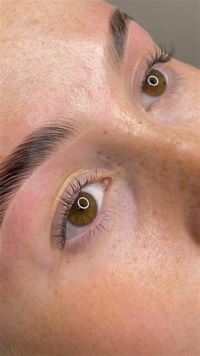 Beatriz on Instagram: "Alguna de ustedes se haría este tratamiento de micro injerto en ceja? #brows #brow"