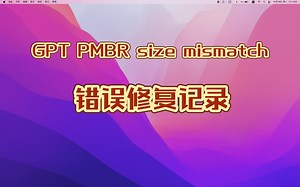 GPT PMBR size mismatch 错误修复记录