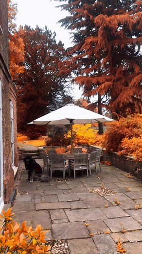 Exploding Orange Bomb in Front Garden