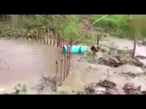 How to trap a big Anaconda