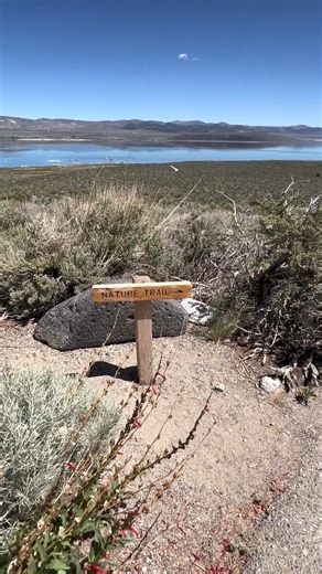 13K views · 353 reactions | The Mono Basin Scenic Visitor Center is a...